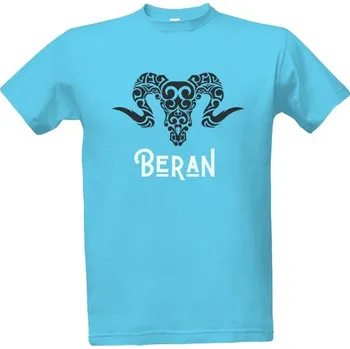 Pánská mikina Pánská mikina s kapucí s potiskem Znamení zvěrokruhu - Beran - Aries pánské