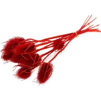 Zahradní dekorace Sušina Cardi palustri x10 rosso-červená (10-606)