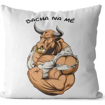 Dekorativní polštářek Polštář Bacha na mě! (Velikost: 40 x 40 cm)