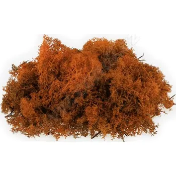 DEKORACE - Severský sobí mech tmavě žlutý Obsah: 30 g