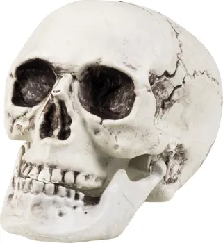 Party dekorace Boland Plastová lebka s pohyblivou čelistí