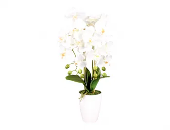 Umělá květina Nohel Garden Orchidej umělá v květníku se dvěma výhony 60 cm bílá