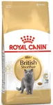Royal Canin British Shorhair Adult