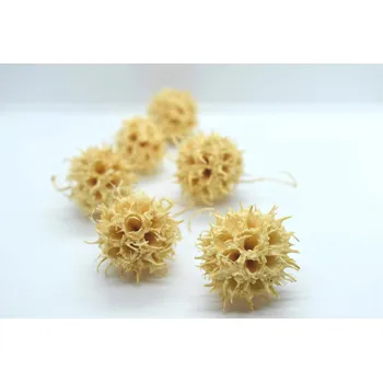 umělá květina Drydec.cz Amberbaum loose bleached 6ks