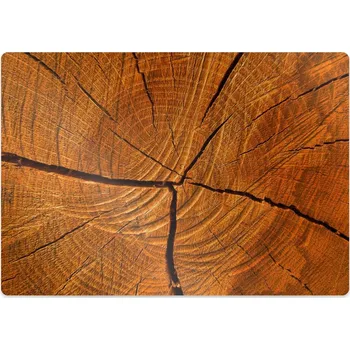 Podložka pod nábytek Podložka pod kancelářskou židli Kmen stromu