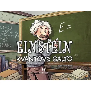 Kniha Einstein - Jordi Bayarri (E-Kniha)
