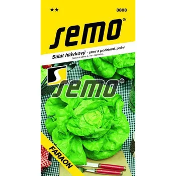 Semeno Salát - Faraon