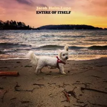 Zahraniční hudba CD Jacob Holm-Lupo: Entire Of Itself 2022