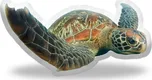 Sablio 3D polštář 27 x 50 cm želva