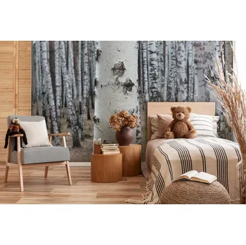 Fototapeta Malvis ® Tapeta Zaostřená bříza Vel. (šířka x výška): 144 x 105 cm
