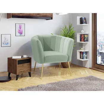 Nábytek Čalouněné křeslo Rimilo, Potah: Magic Velvet 2227 MIRJAN 5903211173295