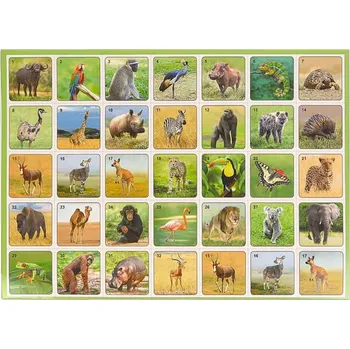 Pexeso Pexeso pro děti ZOO (Stolní společenská hra)