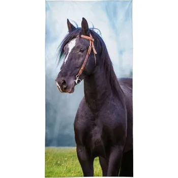 Detexpol Froté osuška 70 x 140 cm, černý kuň