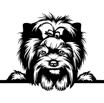 Vsepropejska Jorkšírský teriér 6 dřevěná dekorace na zeď Rozměr (cm): 38 x 24