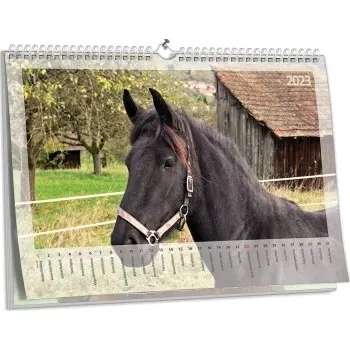 Fotokalendář Nástěnný fotokalendář NKN-87 (A3)