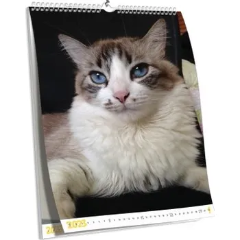 Fotokalendář Nástěnný kalendář NKN-43 (A4)