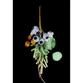 Zápich s eukalyptem