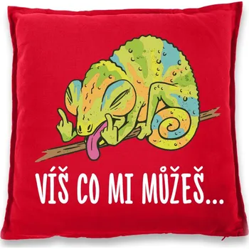 Dekorativní polštářek Vtipný polštářek Víš co mi můžeš..., Barva Červená, Velikost 40×40 cm, Canvas Bavlněný polštář Bezvatriko.cz 1030 - DTF/DTG