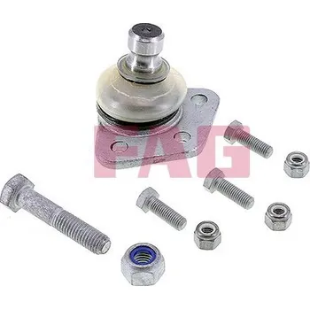 Podpora-/ Kloub Schaeffler FAG 825 0137 10