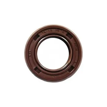 Motor pro motocykl Gufero 15×25×5 XMOTOS 250cc V4