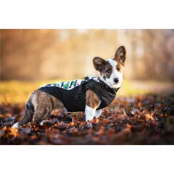 Obleček pro psa Vsepropejska Pinta zimní bunda pro psa s postrojem Barva: Růžová, Délka zad (cm): 43, Obvod hrudníku: 49 - 53 cm