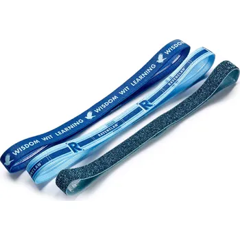 Karnevalový kostým Carat Shop Sada gumových čelenek - Havraspár