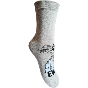 Chlapecké oblečení Chlapecké ponožky - Aura.Via GZF9108, světle šedá Barva: Šedá, Velikost: 24-27