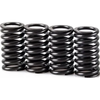 Spojková sada Pružiny spojky sada MOTION STUFF STF-501-5010