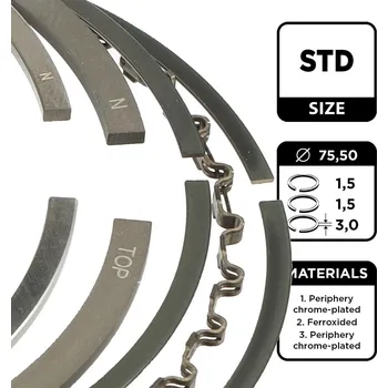 Píst motoru Sada pístních kroužků ET ENGINETEAM R1004800