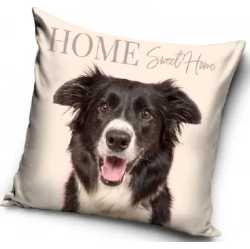 Povlak na dekorativní polštářek Povlak na polštářek 3D BORDER KOLIE