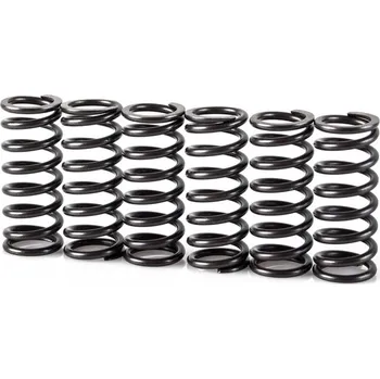 Spojková sada Pružiny spojky sada MOTION STUFF STF-501-5007