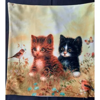 Povlak na dekorativní polštářek Povlak na polštářek Fotopolštář Koťata a ptáček