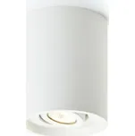 RENDL COLES stropní náklopná sádrová 230V GU10 50W R10454