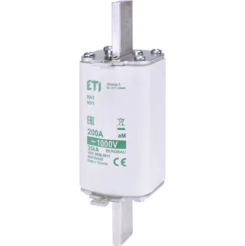 Nožová pojistka NP 1 100A aM - doprodej