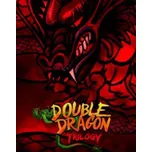 Double Dragon Trilogy PC - digitální verze - Hraj již za pár minut