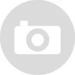 Pružinka variátoru Polini 31mm 246.044