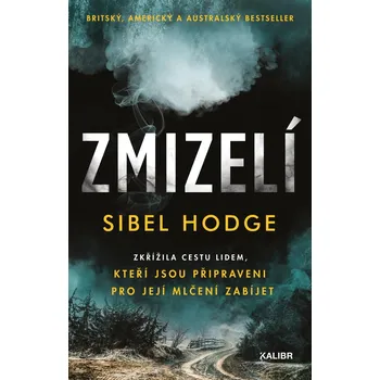 Zmizelí - Sibel Hodge (2021, pevná)