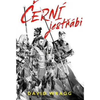Kniha Černí jestřábi