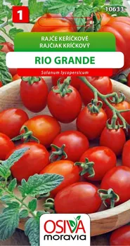 Semeno Osiva Moravia Rio Grande rajče keříčkové