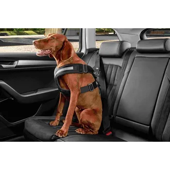 Postroj pro psa Škoda Bezpečnostní pás pro psy vel. S, M, L, XL S