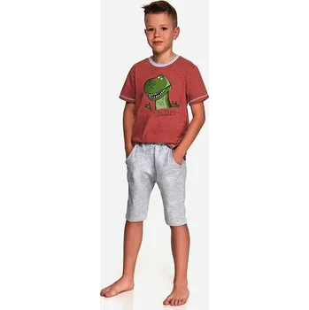 Chlapecké pyžamo Taro, dětské pyžamo 2215-Alan, krátký rukáv, cihlová, vel. 104