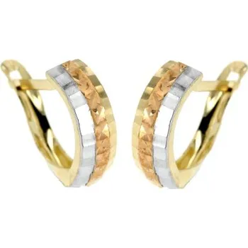 Náušnice Zlatnictví U Kostela Dámské patentové náušnice 3928 513329738