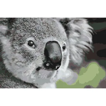 Malování podle čísel - Medvídek koala Velikost: 40x60cm, Rámování: Pouze srolované plátno