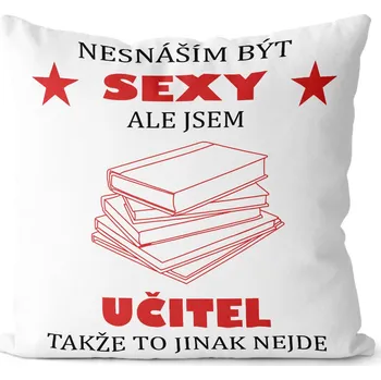 Dekorativní polštářek Polštář Sexy učitel (Velikost: 40 x 40 cm)