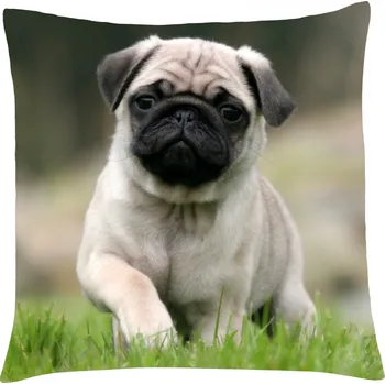 Polštář Polštář s motivem psa 27 mopsík, Mybesthome 40x40 cm Varianta: Povlak na polštář s prošívanou výplní, 40x40 cm