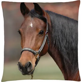 Polštář Polštář s motivem koně 24 Mybesthome 40x40 cm Varianta: Povlak na polštář, 40x40 cm