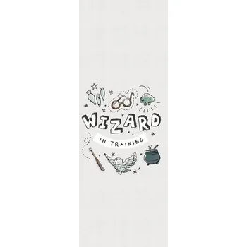 Plakát Plakát, Obraz - Harry Potter - Čaroděj v zácviku