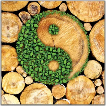 Malvis ® Obraz zelená rovnováha Velikost: čtverec - 50x50 cm