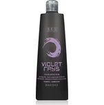 BES Color Reflection Shampoo Violet Rays 300ml - Šampon pro zvýraznění fialových reflexů