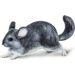 Safari Ltd. Činčila